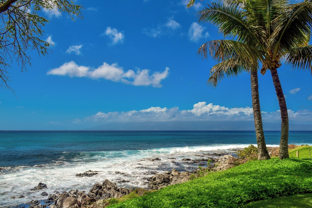 Napili Point C40 NP C40 Beautiful OceanFront 2BD Ocean View AC - photo 38