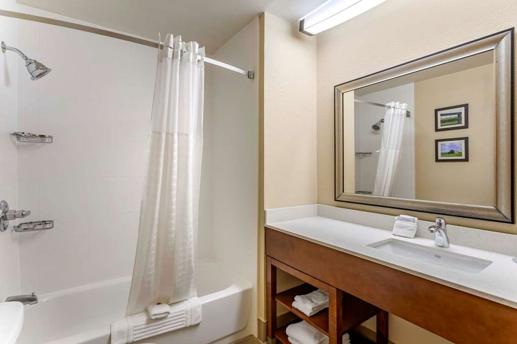 Comfort Inn Paducah I 24 - photo 15
