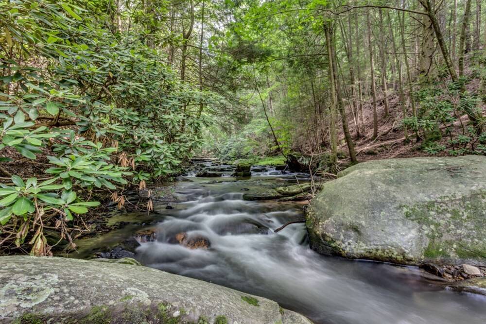 Twin Falls - photo 11