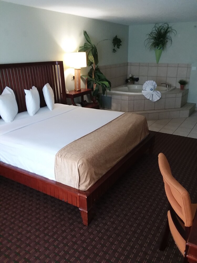 Vista Inn Lake Tarpon - photo 20