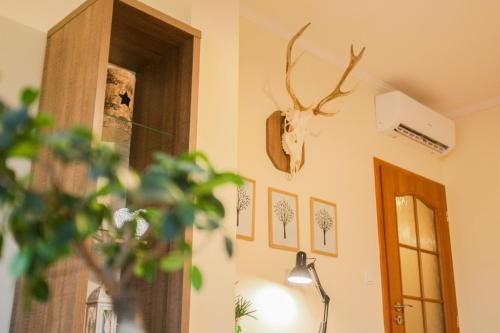 Rustique Šamorín — Samorin — photo 5