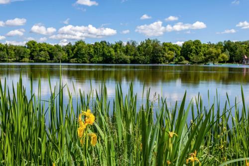 Fewo am Stadtsee Bad Waldsee — 4-Star Luxury Hotel in Bad Waldsee, Germany