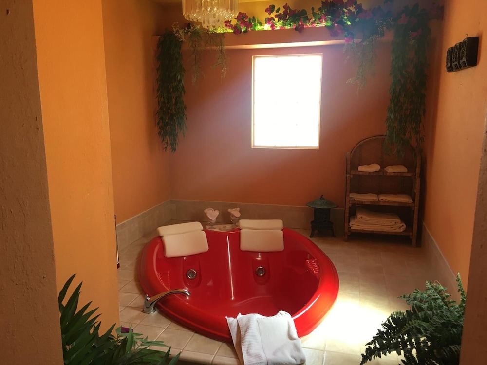 Shady Lady Bed & Breakfast - photo 18