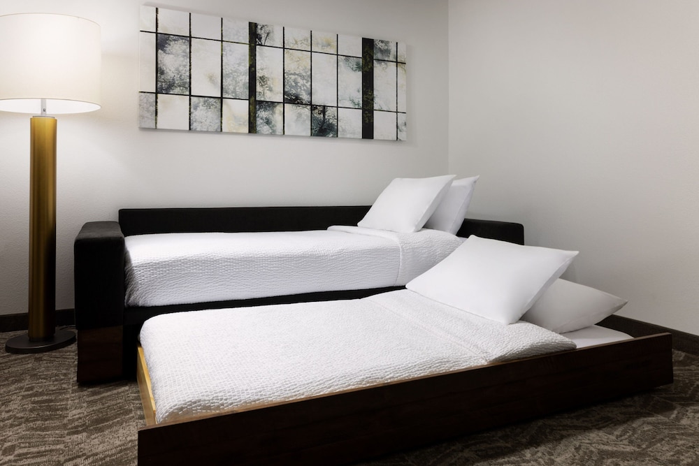 SpringHill Suites by Marriott Fresno - photo 9