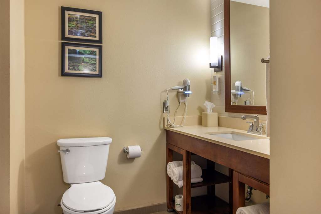 Comfort Inn & Suites at CrossPlex Village - photo 21