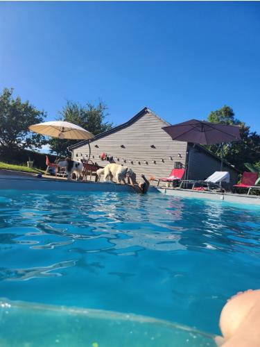 La Parenthese Etoilee - carbon neutral hotel in Unknown City