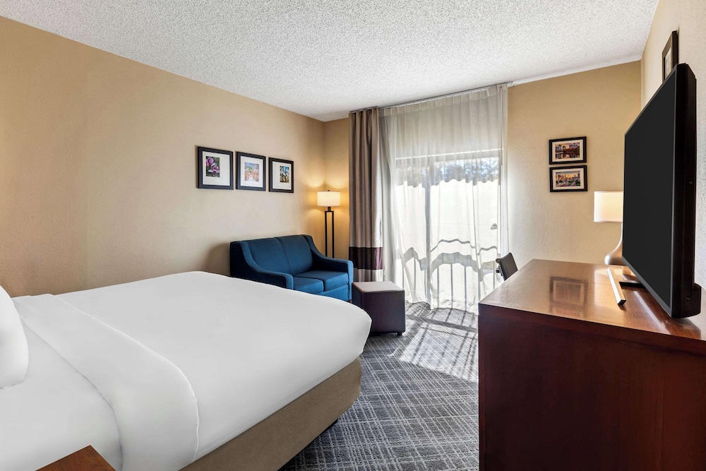 Comfort Inn Roswell Dunwoody - photo 6