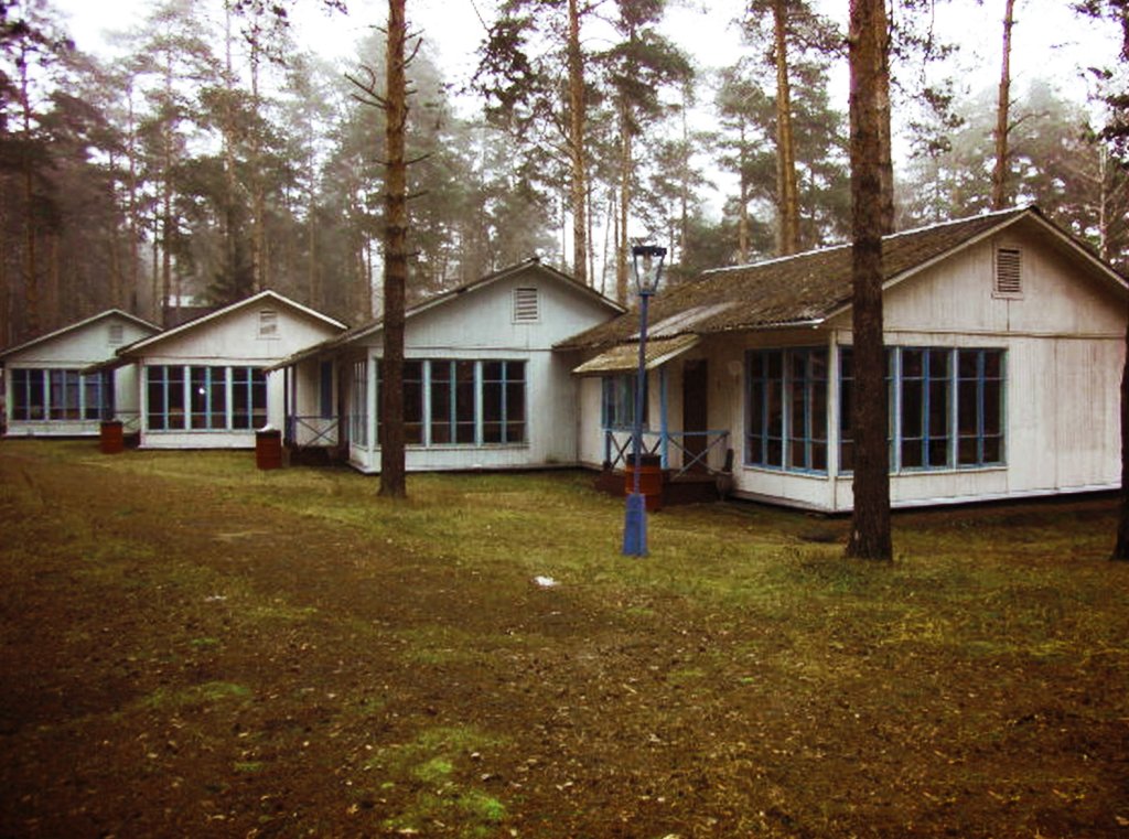 Zhyoltaya Gora Hotel in Elektrostal', Russia