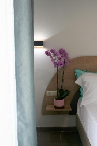 Mistral Studios in Komotini, Greece