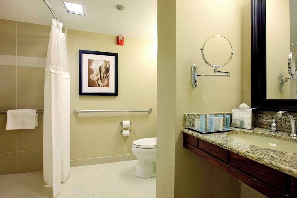 Hilton Orlando Lake Buena Vista Disney Springs Area - photo 42