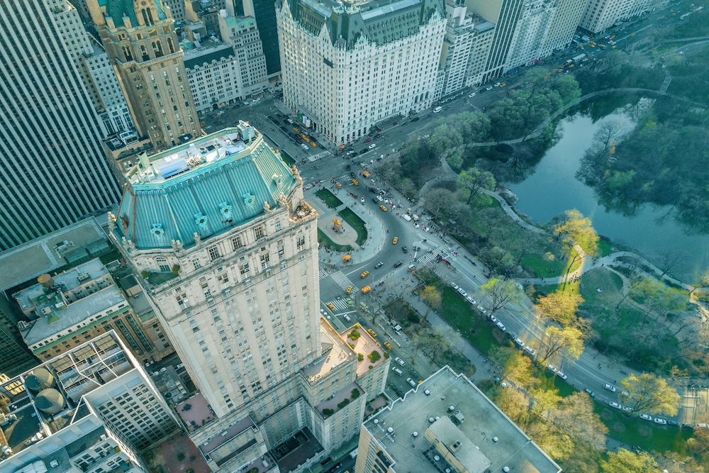 The Pierre A Taj Hotel New York - photo 83