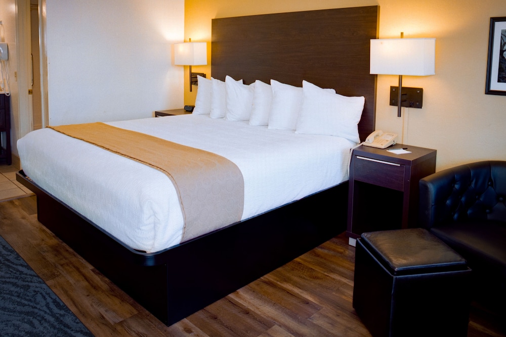 Pines Inn & Suites - photo 14