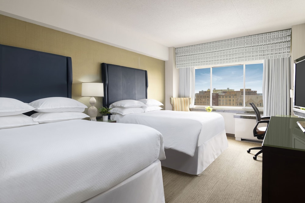 The Stamford Hotel - photo 14