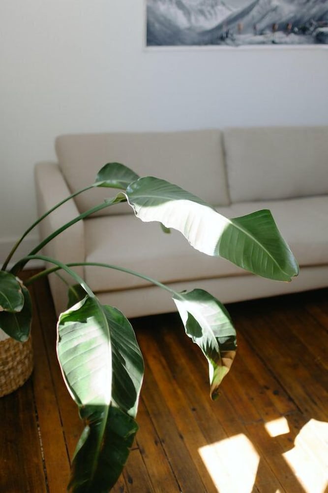 Culture Boutique Hotel - photo 27