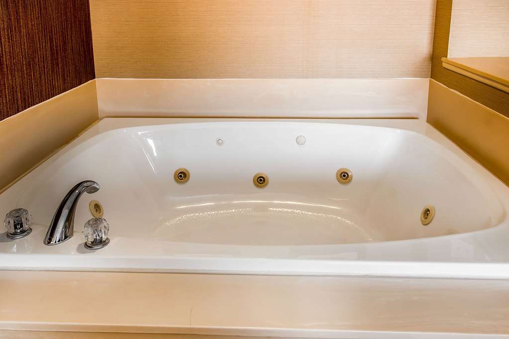Comfort Inn Chelsea MI - photo 23