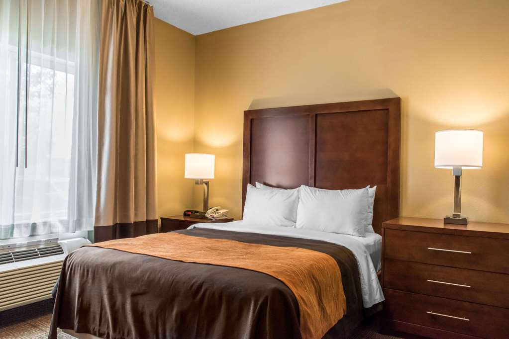 Comfort Inn Columbia Lancaster - photo 22