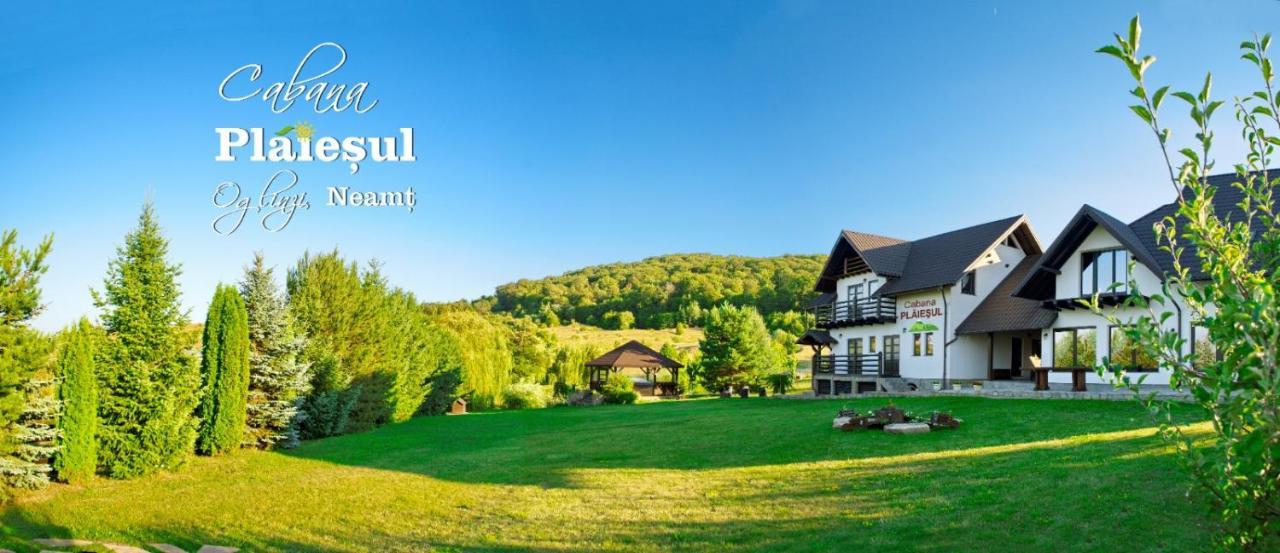 Cabana Plăieșul in Targu Neamt, Romania