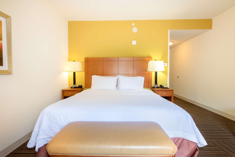 Hampton Inn Ringgold Ft. Oglethorpe - photo 7