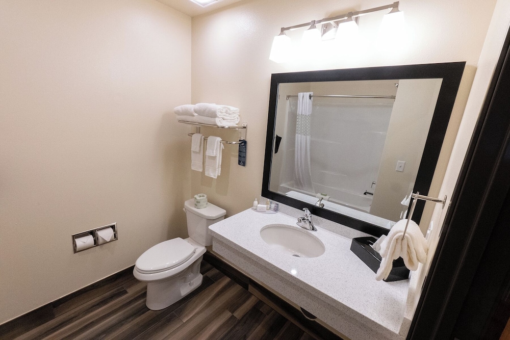 Cobblestone Inn & Suites Sheldon - photo 29