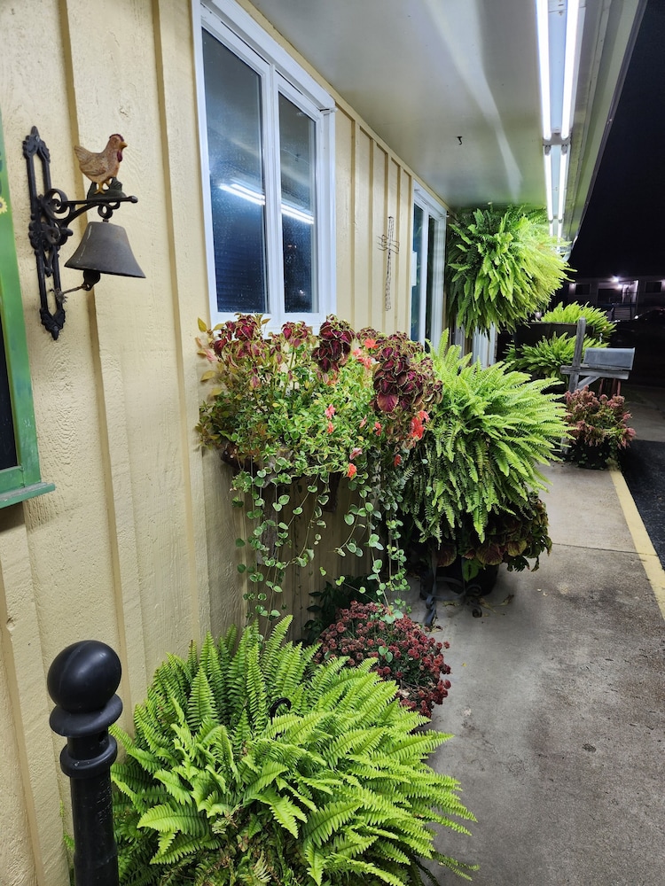 Homestead Motel - photo 54