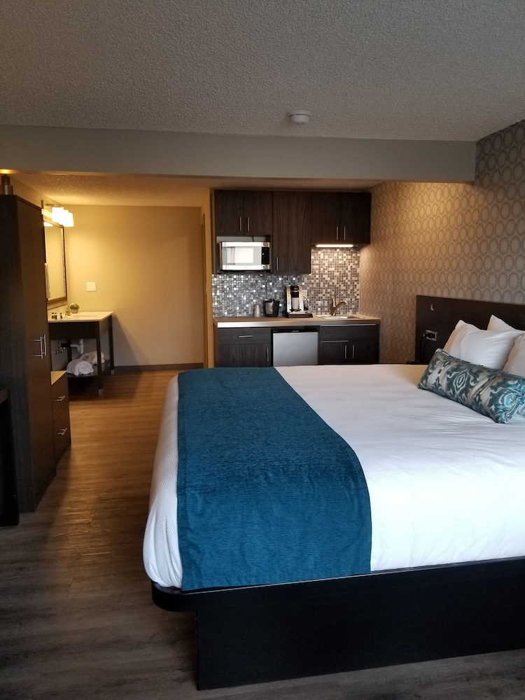 The Hotel Y - photo 6