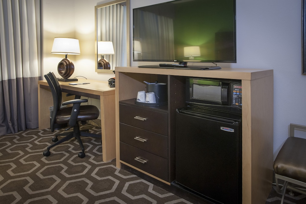 Hampton Inn & Suites New Orleans Downtown - photo 20