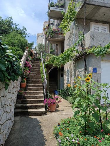 Apartment Nepe