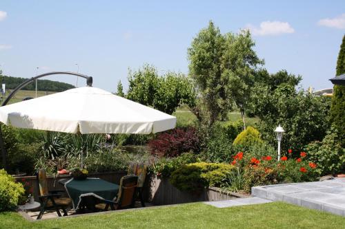Studio PolderPoort — Kampen — photo 2