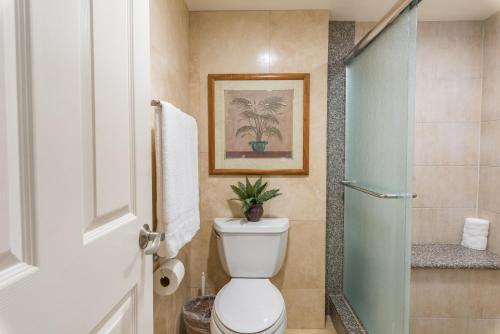 Mahana Resort #1017 1 Br Condo - photo 28