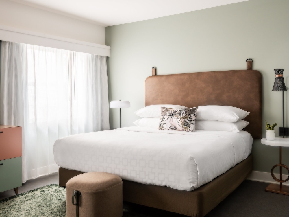 Holiday Inn Express St Louis Central West End an IHG Hotel - photo 5