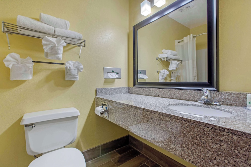 Quality Inn Williamston - photo 33