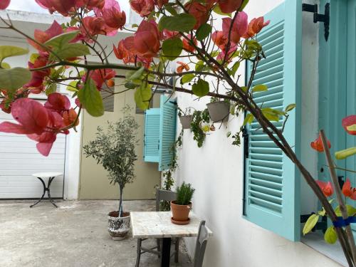 Spata Lykourgos Homes — 4-Star Luxury Hotel in Spata, Greece