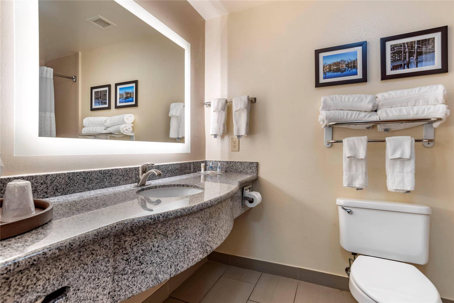 Comfort Suites Vicksburg - photo 15