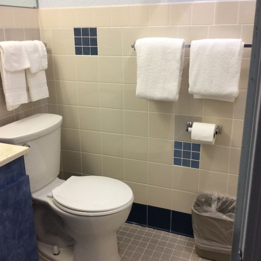 Regency Inn Comanche - photo 28