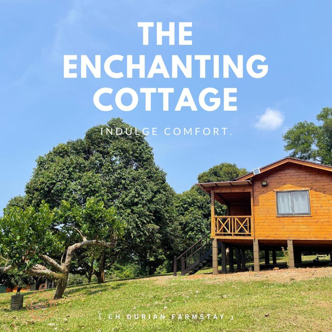 CH Durian Farmstay — 4-Star Luxury Hotel in Malacca, Malaysia