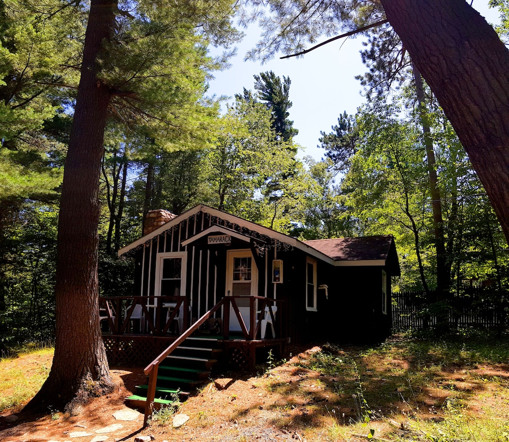 The Wilderness Inn - photo 12