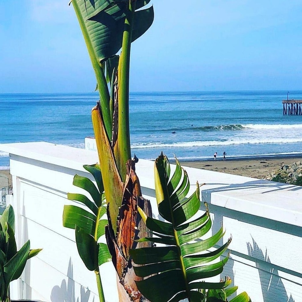 Pier View Suites - photo 38