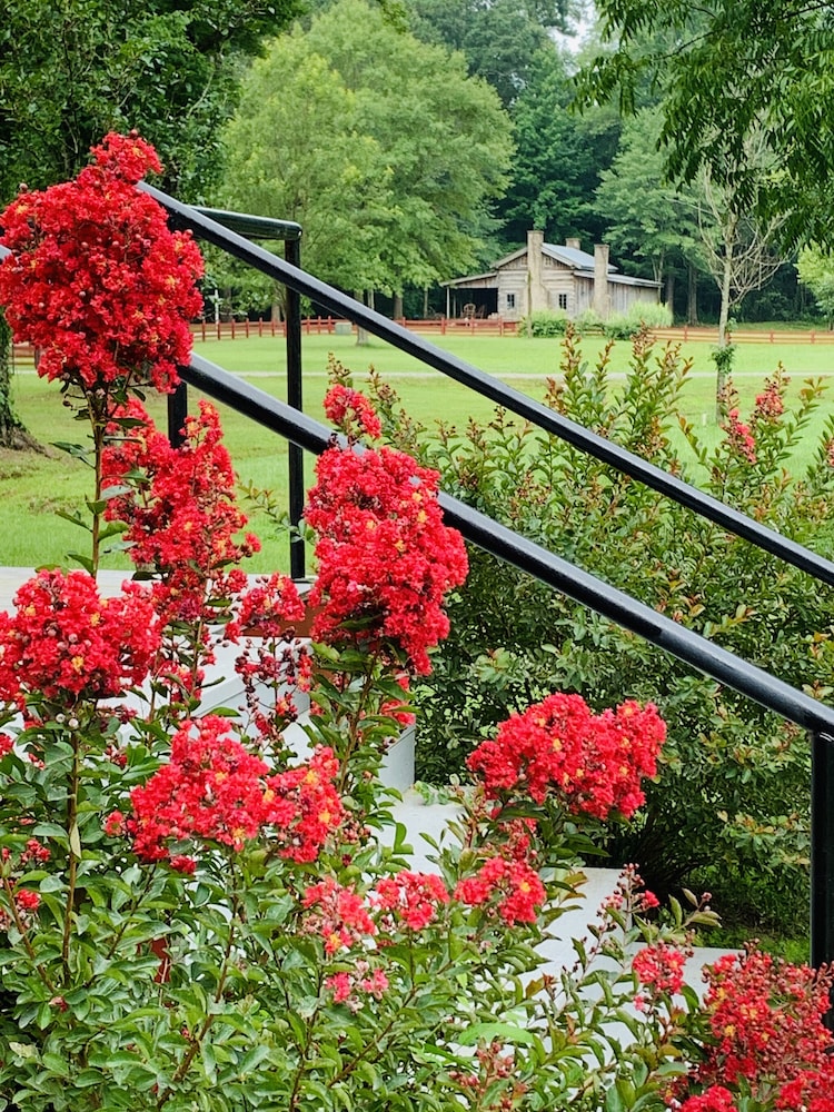 Coulter Farmstead - photo 101