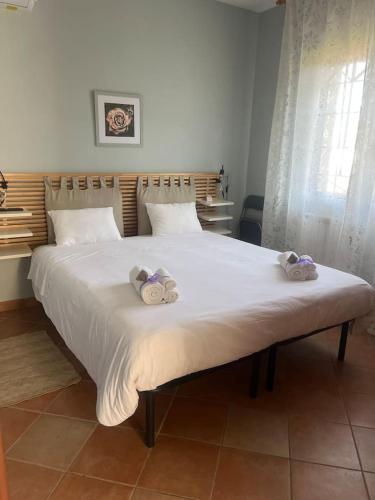 Camera Friuli - carbon neutral hotel in Nettuno