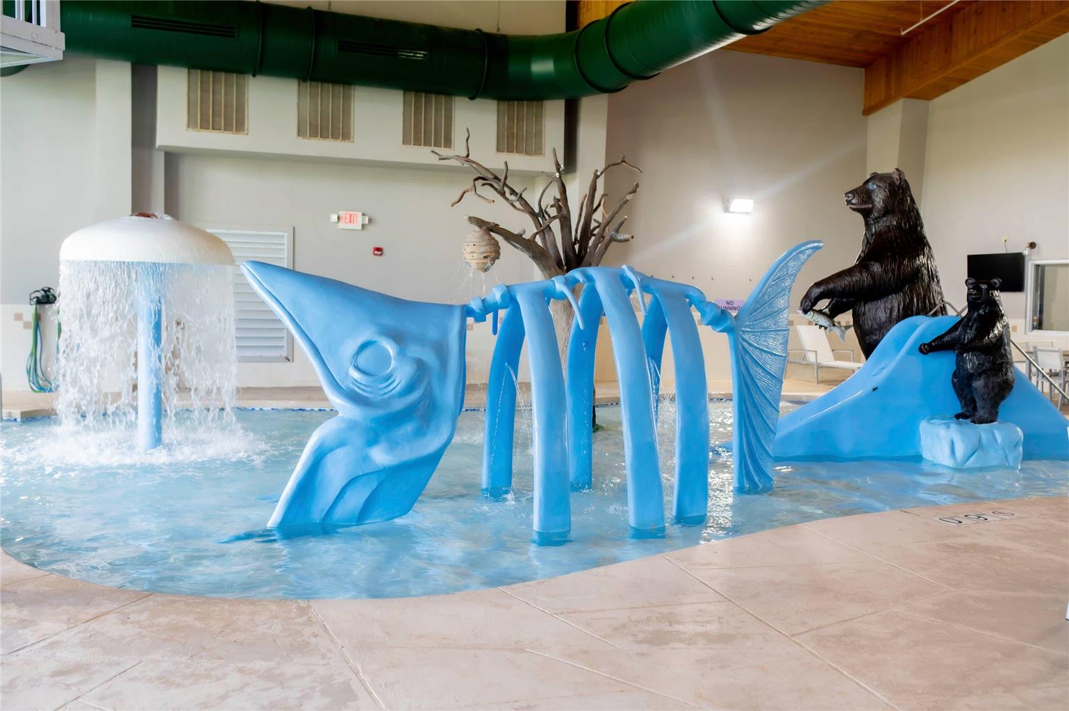 Country Inn & Suites by Radisson Prairie du Chien - photo 17