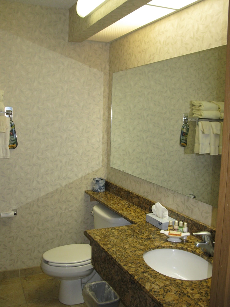 Mineral Palace Hotel & Casino - photo 19