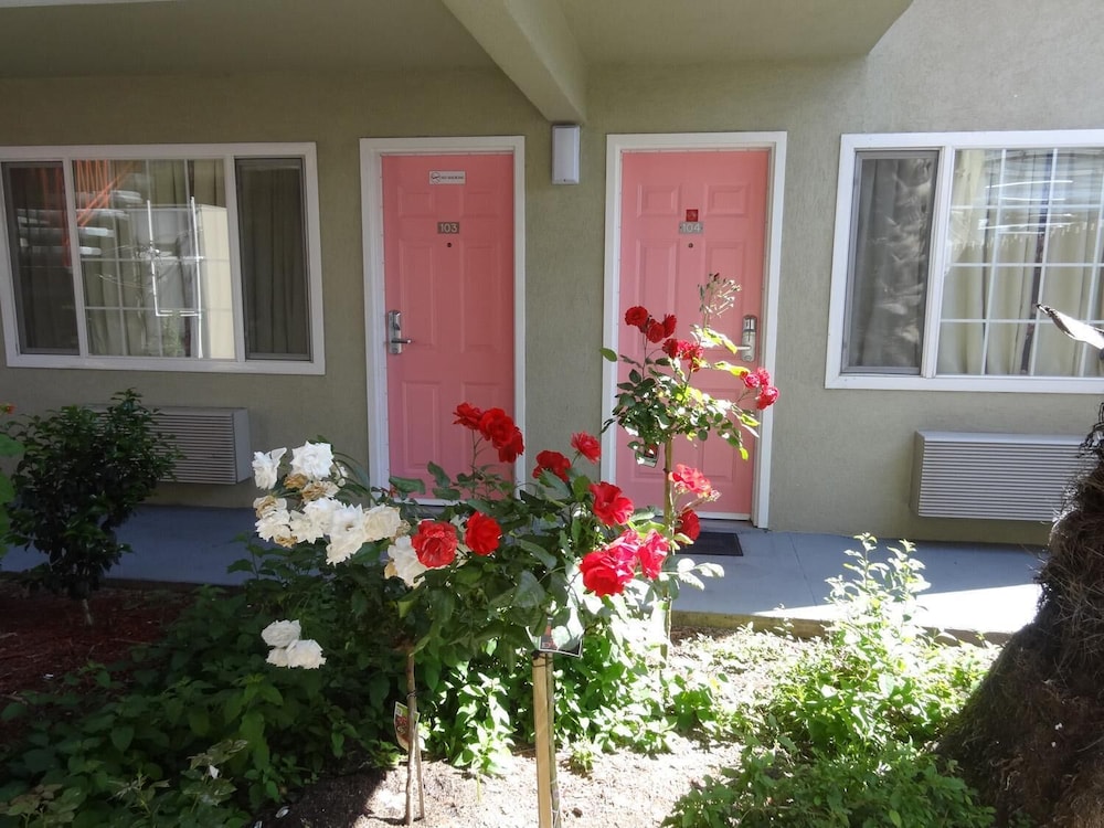 The Flamingo Motel - photo 26