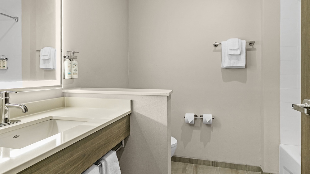 Holiday Inn Express & Suites Nokomis Sarasota South by IHG - photo 5