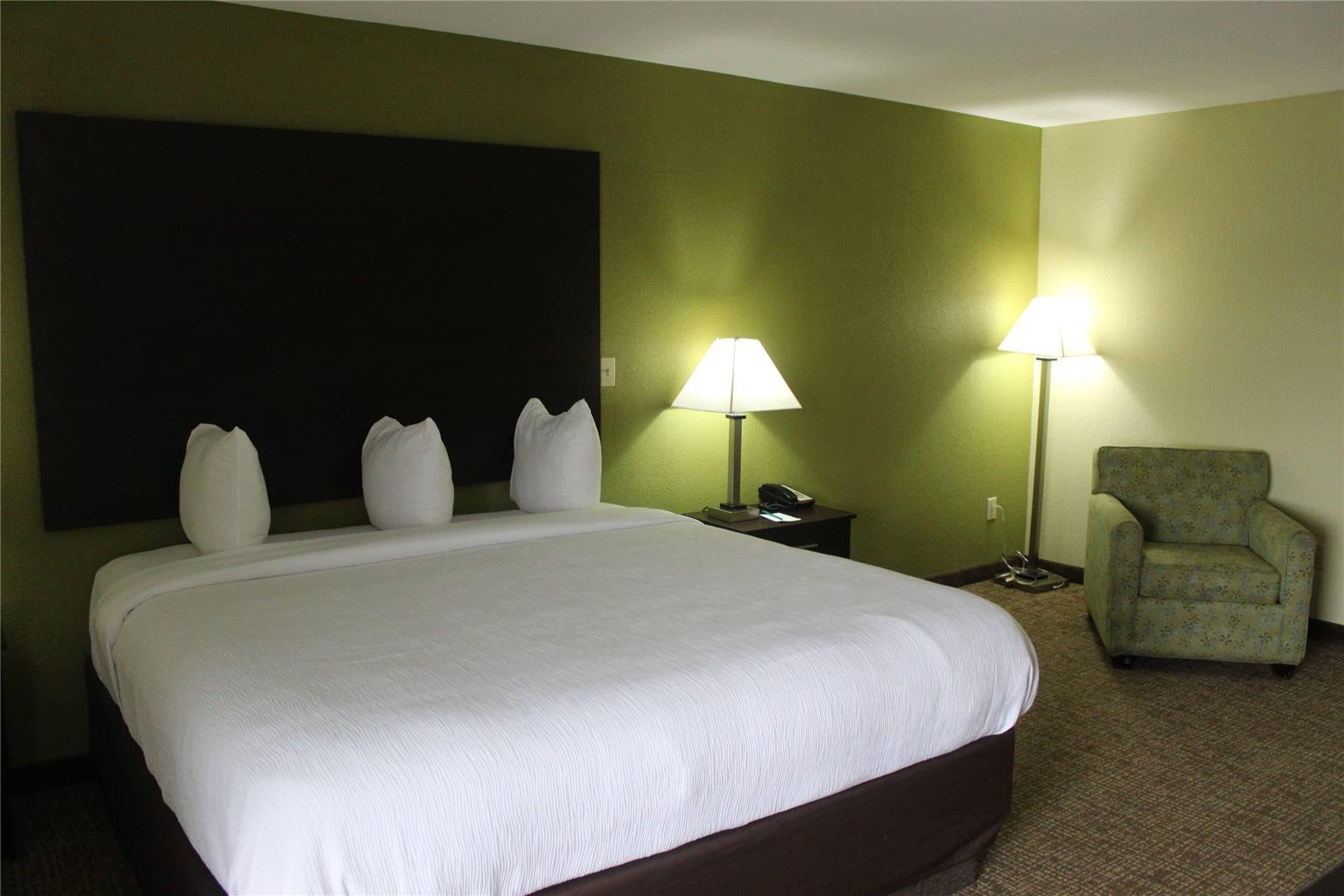 Quality Inn and Suites University Area - photo 24