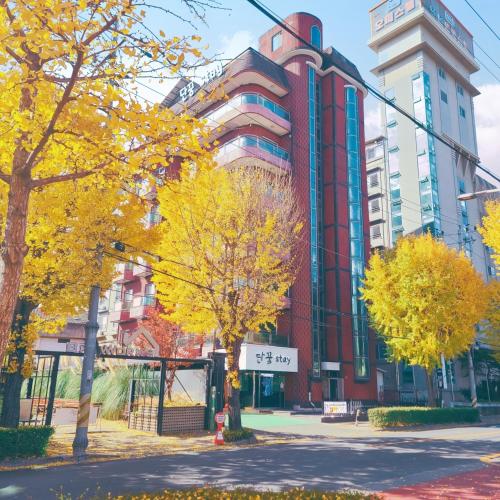 Suncheon Dan Ggum Stay in Suncheon, South Korea