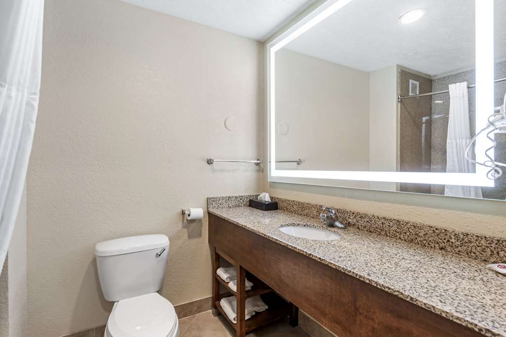Comfort Suites Merrillville near US 30 - photo 10