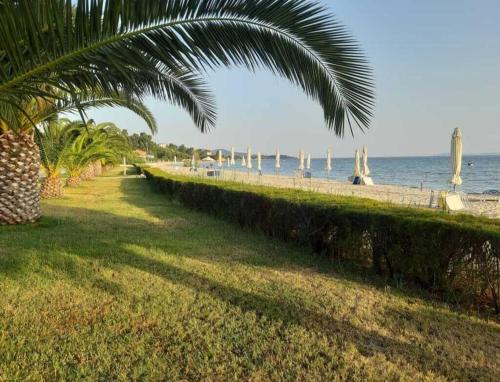 Enjoy panoramic sea views in the Halkidiki Peninsula in Nikiti, Greece