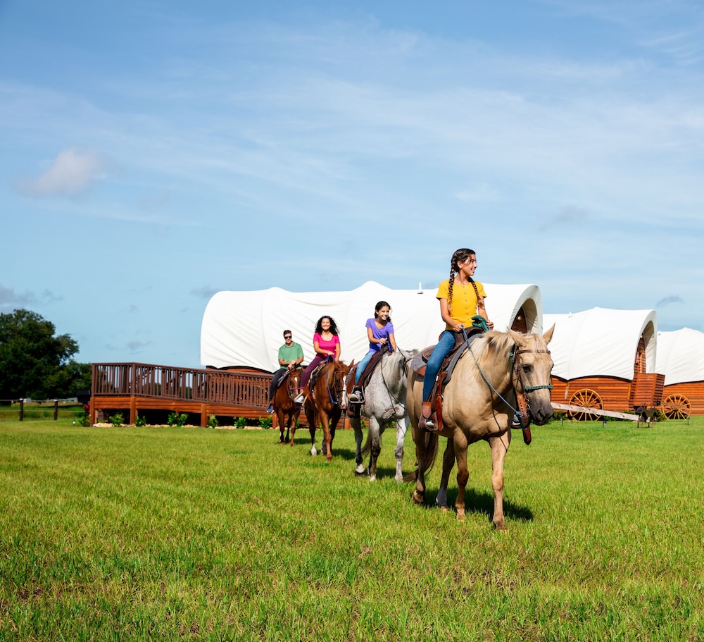 Westgate River Ranch Resort & Rodeo - photo 61