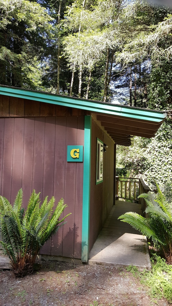 Emerald Forest Cabins - photo 160
