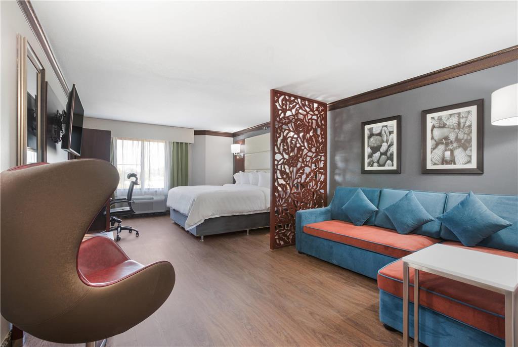 The Leo Collection Detroit an Ascend Collection Hotel - photo 49